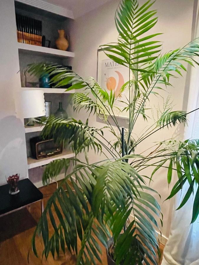 Casa Lola Apartment Leon Bagian luar foto